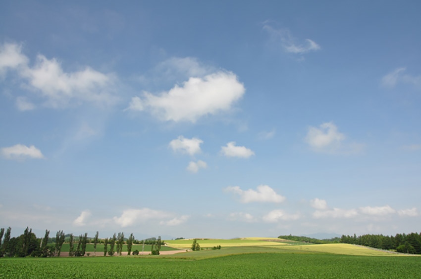 20150524-09-04-Hokkaido-mid-summer