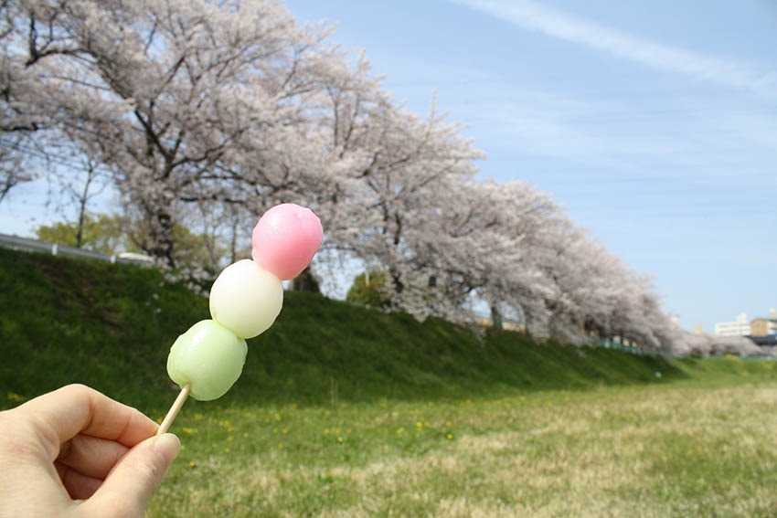 20150525-17-05-Japanese-wagashi