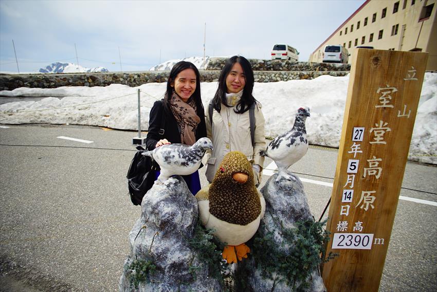 Yuki no Otani Snow Wall