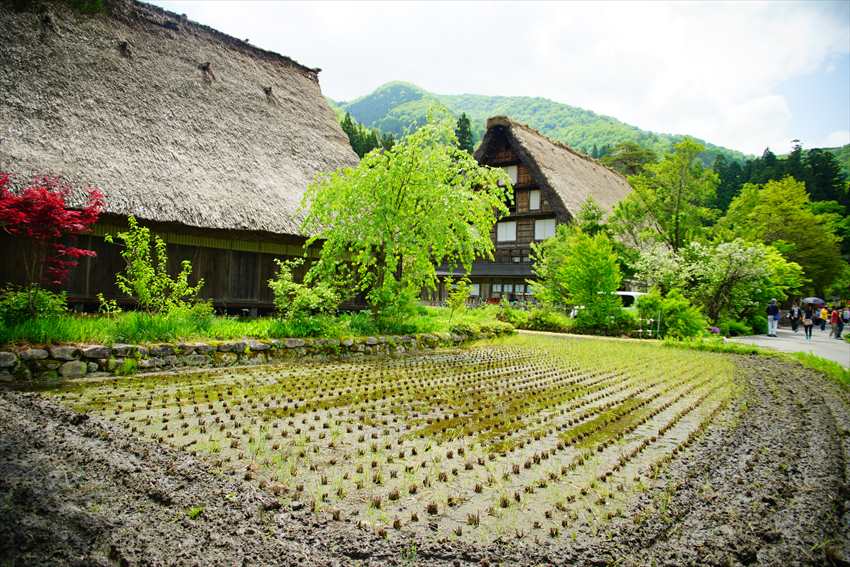 Visit Japan Shirakawa-go