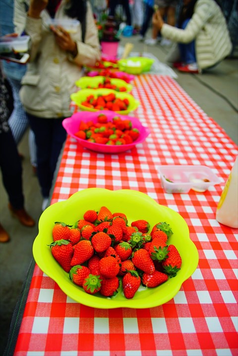 Visit Japan Strawberry Picking