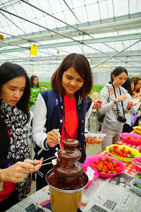 Visit Japan Strawberry Picking