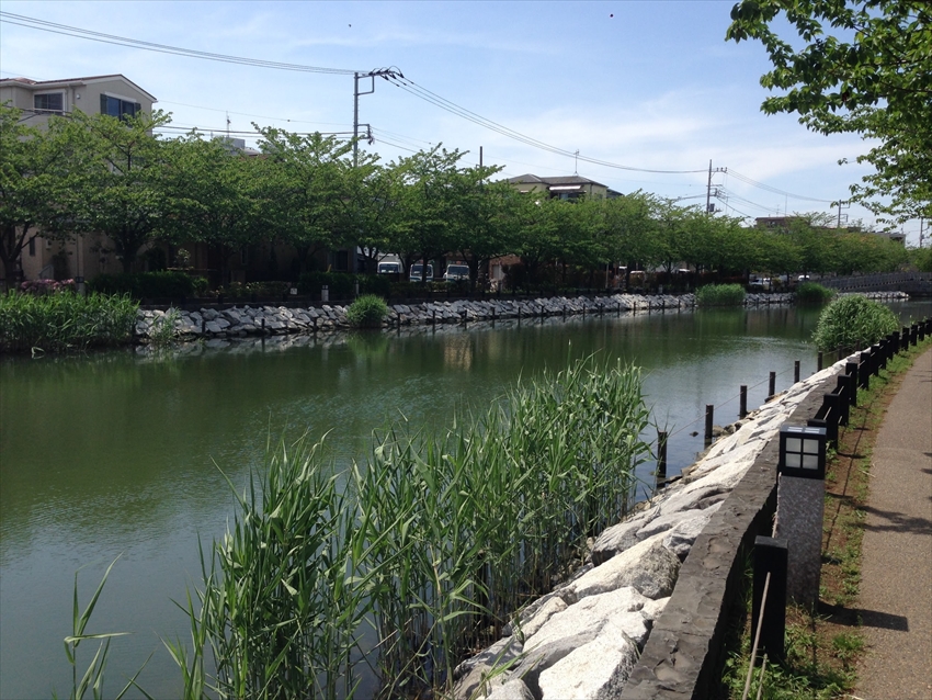 20150625-09-04-Edogawa-bridges-Shinkawa