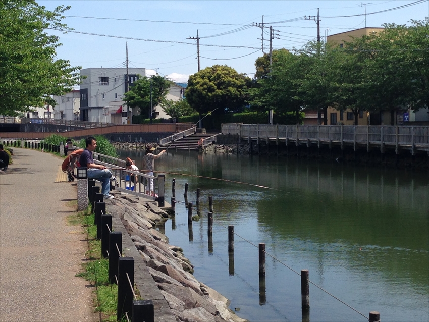 20150625-09-06-Edogawa-river-Shinkawa