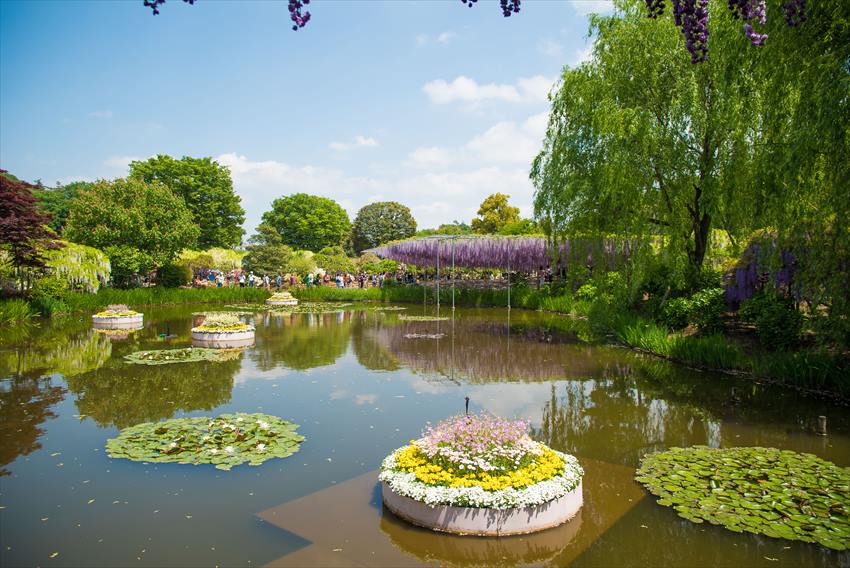 Ashikaga Flower Park