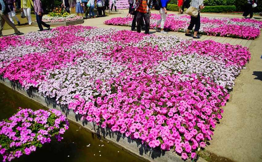 Ashikaga Flower Park