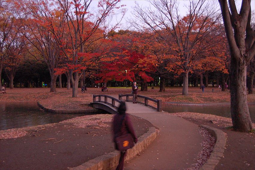 20160226-17-06-Yoyogi-Park