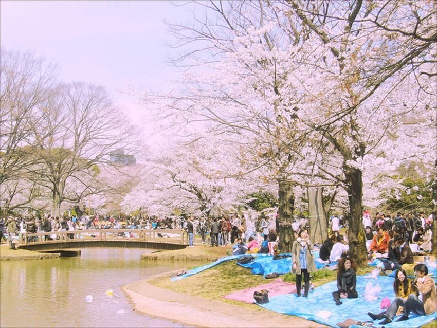 20160226-17-07-Yoyogi-Park