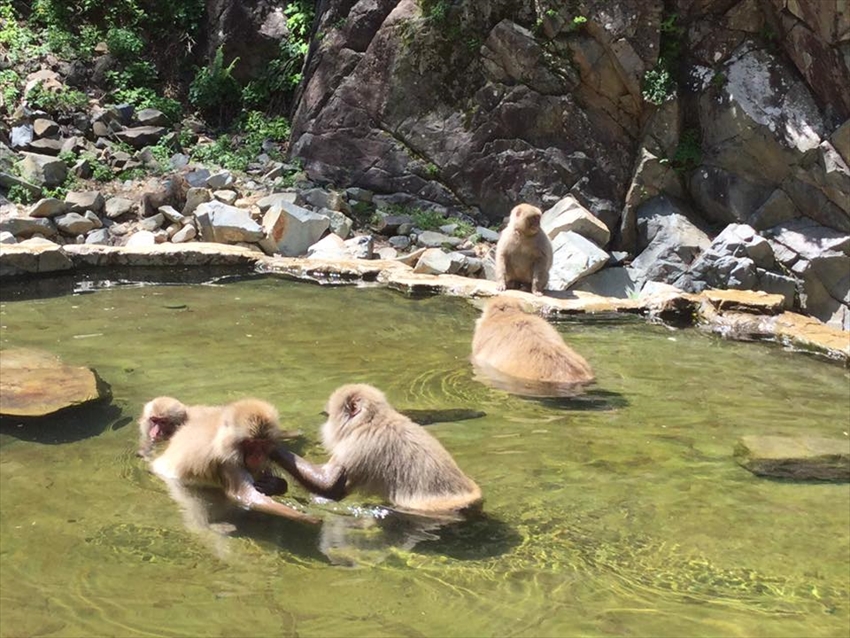 20160813-17-04-Onsen-Japan