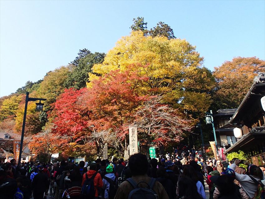 20161112-17-04-MtTakao-Autumn-Leaves