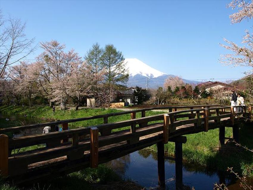 20170130-17-03-MtFuji-Hakone-Tour