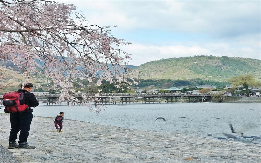 ID_20170308-09-01_S-arashiyama