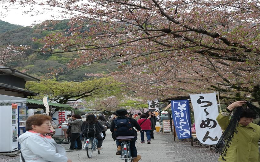 ID_20170308-09-02-Arashiyama