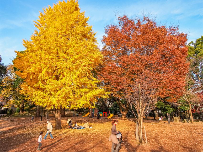 20170410-17-02-Free-Activities-Tokyo