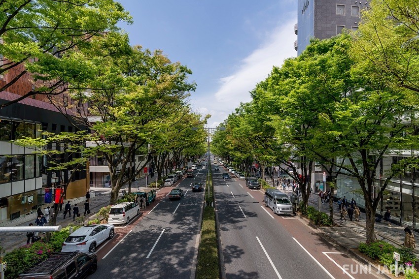 Fashionable Shopping in Omotesando that You Could Enjoy