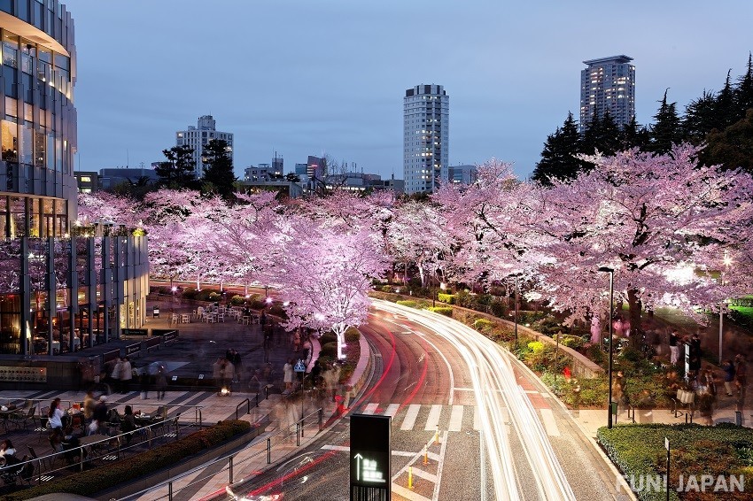 Tokyo Midtown, Where You Can Enjoy Shopping and Art