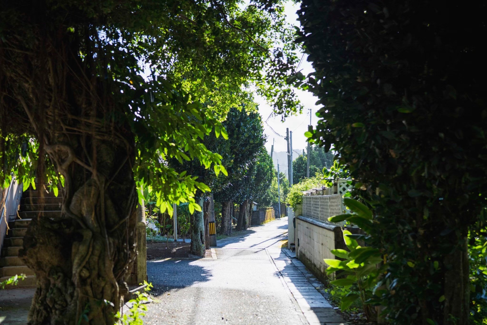 山原地區的生活體驗