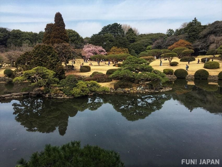 Must-see spot while traveling in Tokyo: Shinjuku Gyoen National Garden