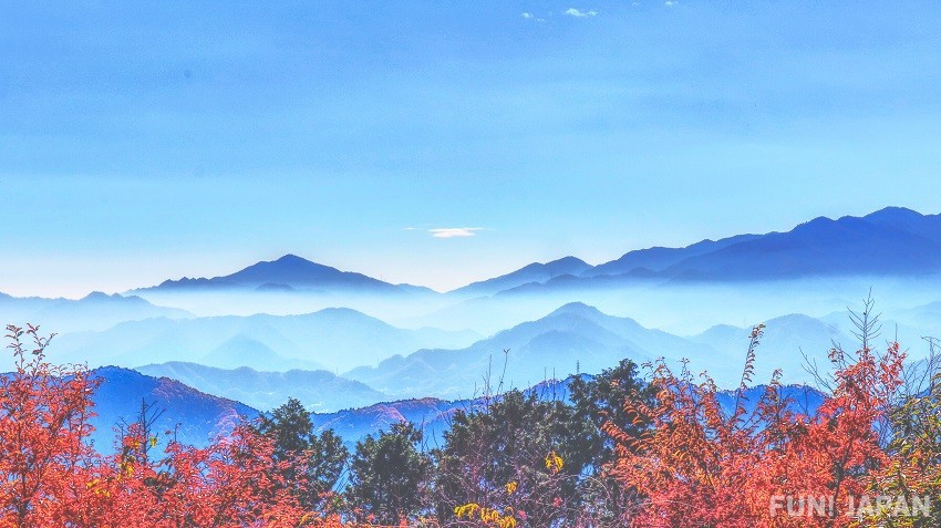 高尾山：日本大自然愛好者的聖地