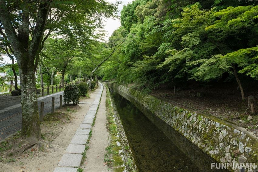 在京都沿著哲學之道悠閒漫步