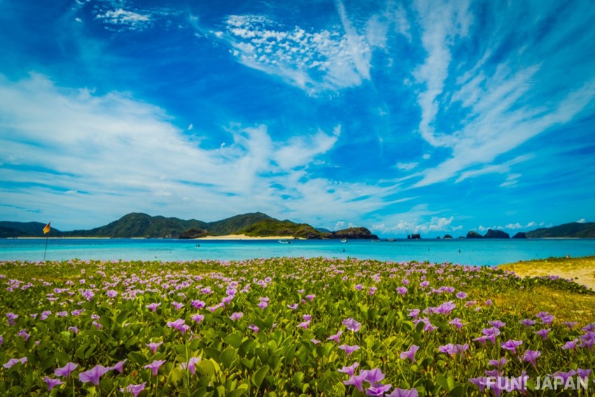 座間味島酒店推薦：將慶良間藍絕景盡收眼底！