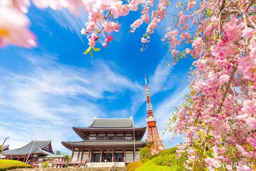 東京増上寺有著迷人嘅歷史背景