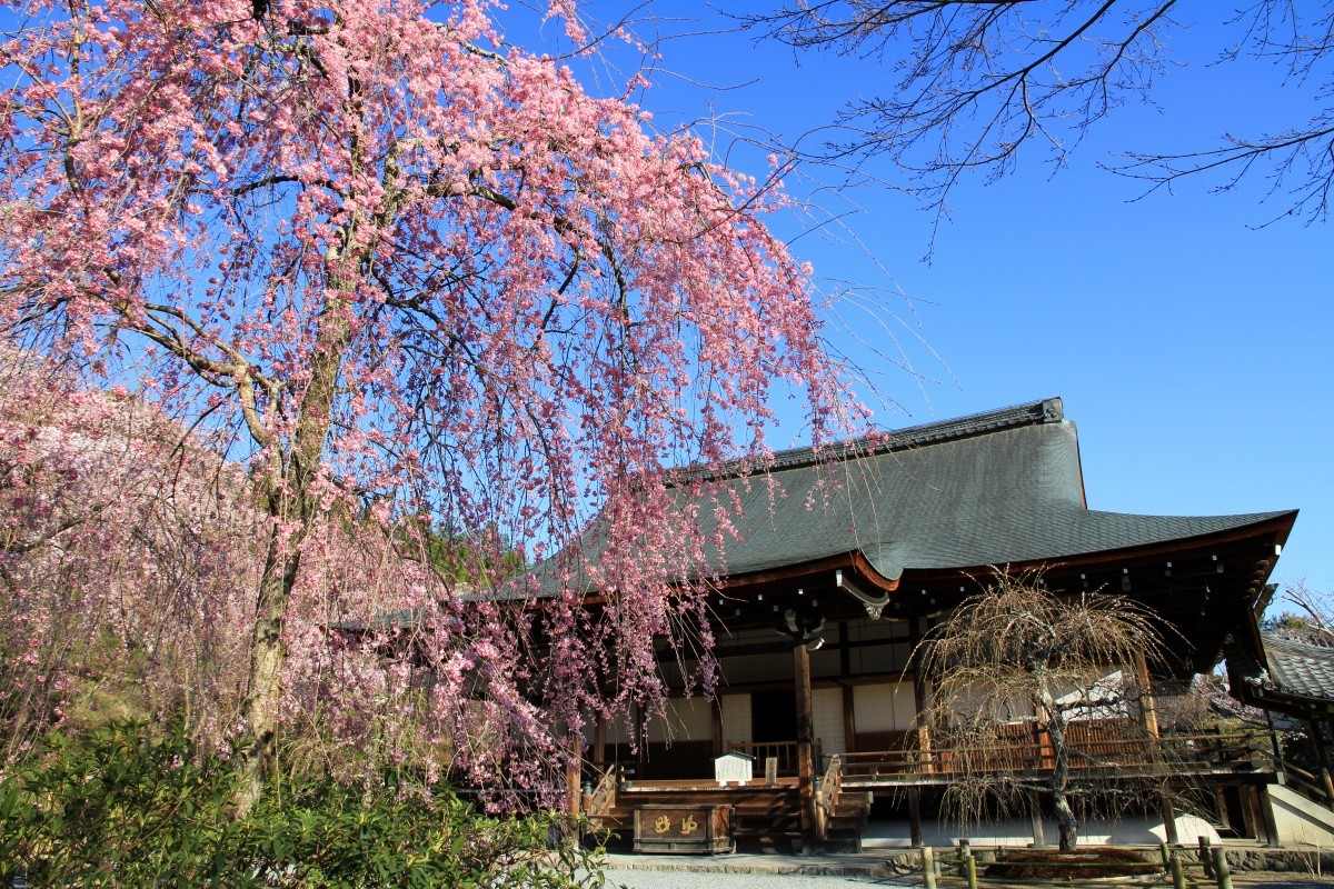 Tenryu-ji Temple Hours and Admission Information
