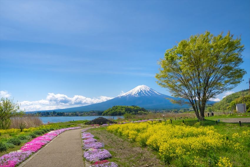 Hotels in Yamanashi and Shizuoka for admiration of Mt. Fuji