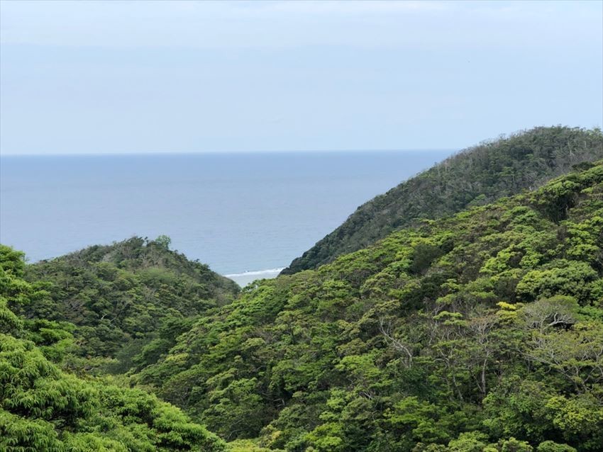奄美大島的優美山景