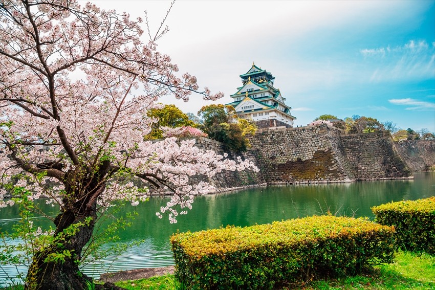 令人歎為觀止的大阪櫻花季