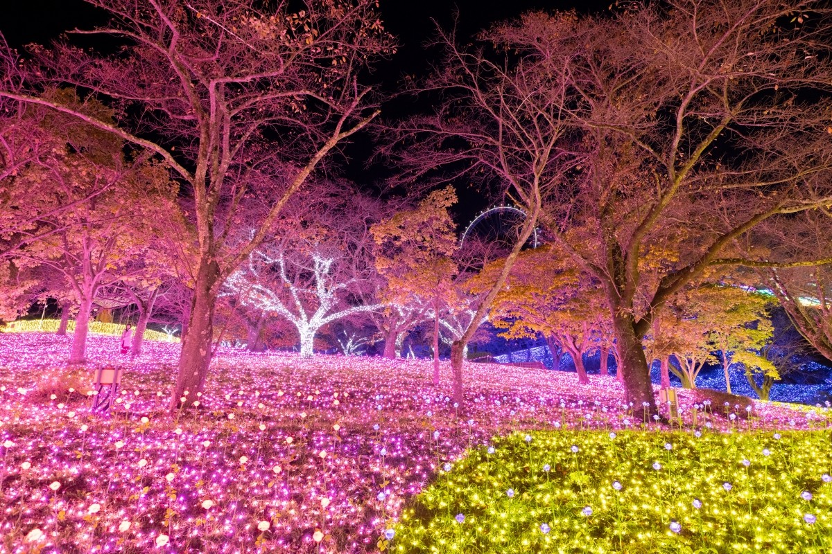 さがみ湖イルミリオン 光の花畑