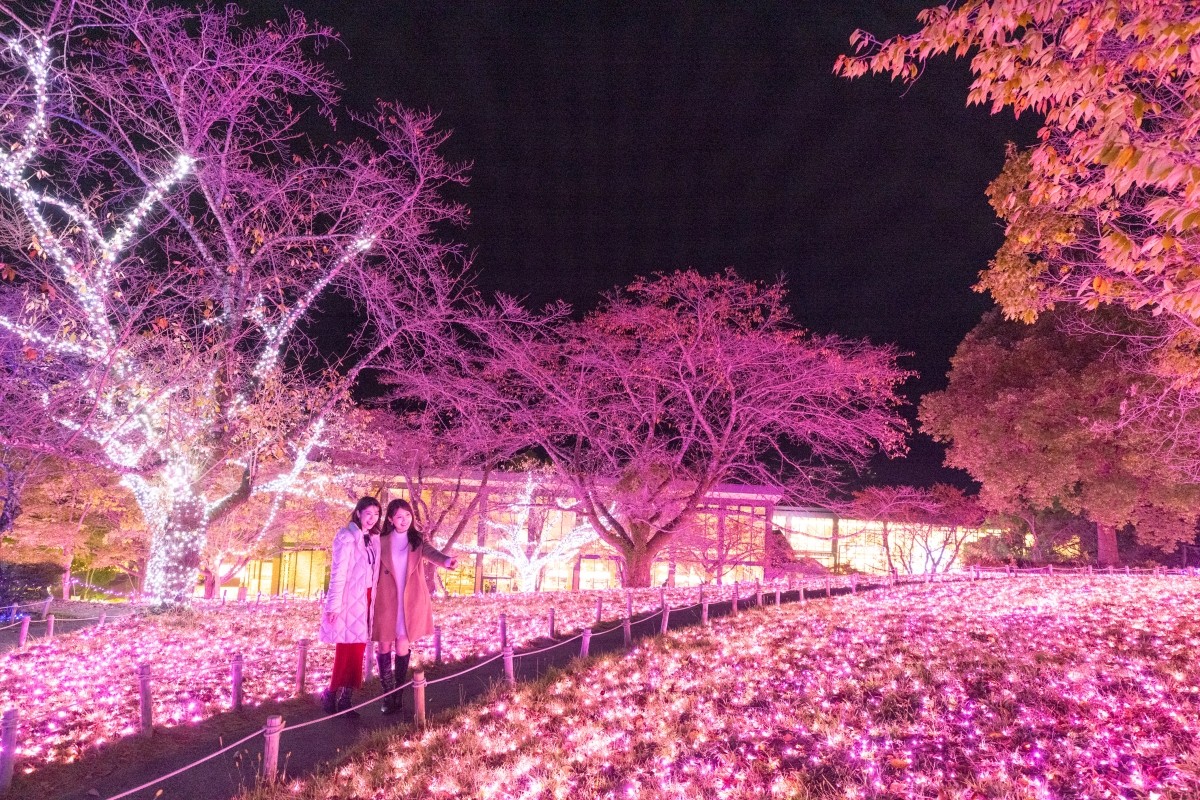 さがみ湖イルミリオン 光の花畑