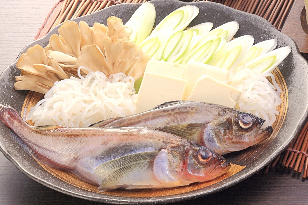 하타하타 요리
