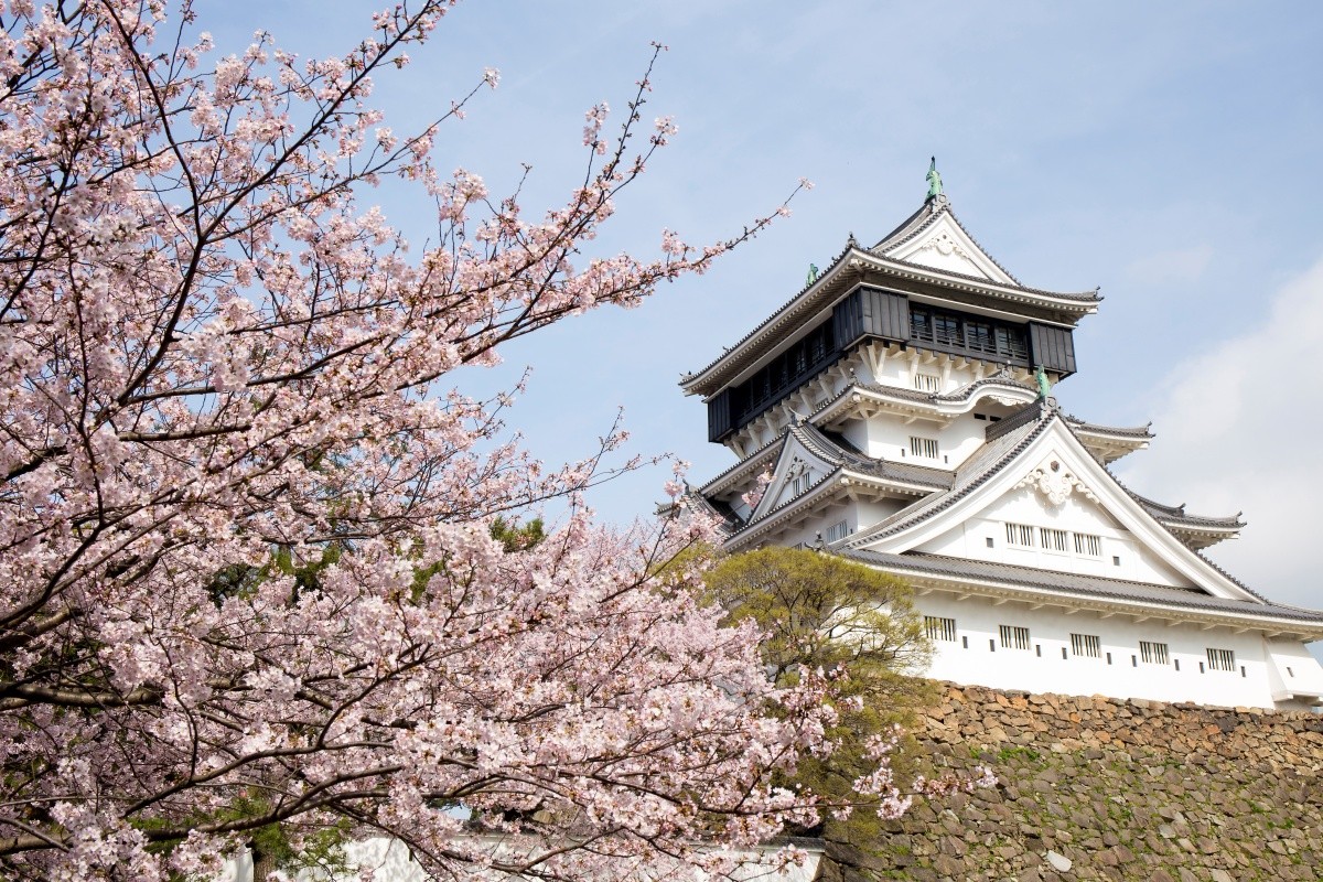 Lễ hội hoa anh đào tại lâu đài Kokura, tỉnh Fukuoka