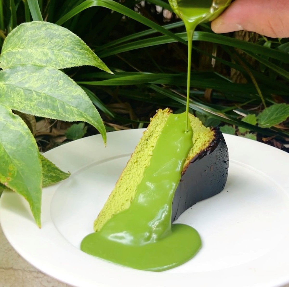 照片提供：IPPUKU & MATCHA 日本橋店