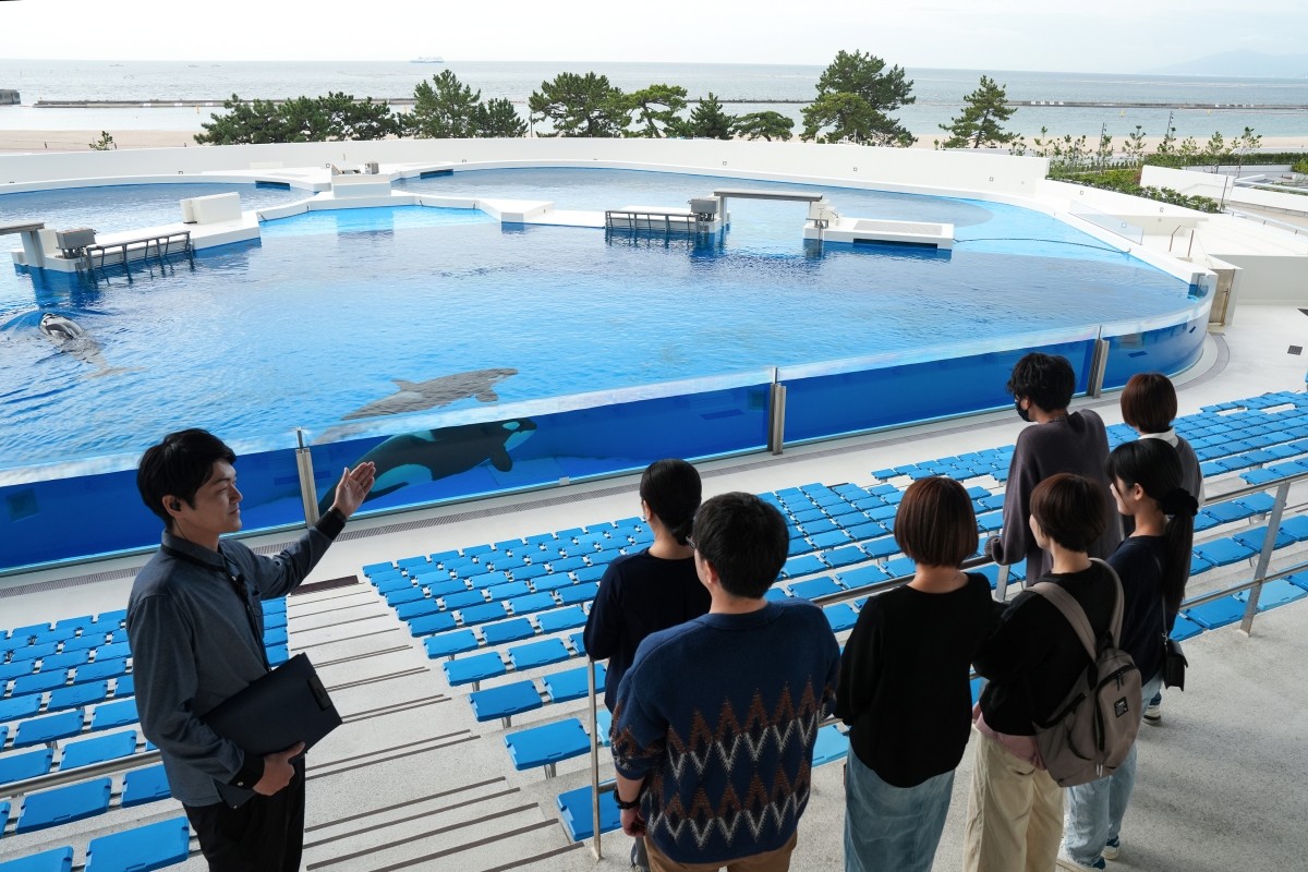 Đi dạo buổi sáng tại Orca Stadium