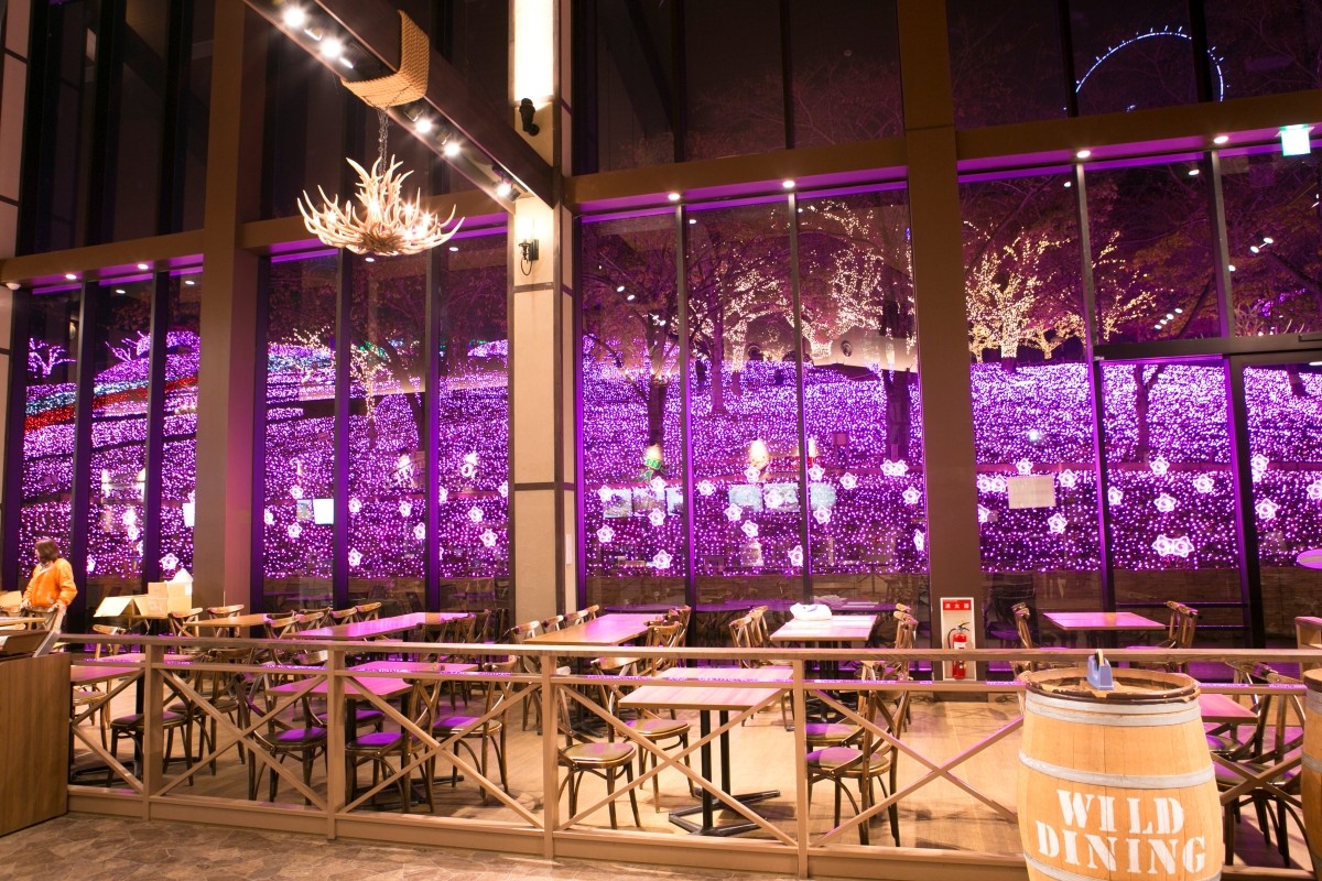 Sagamiko Illumillion Restaurant Wild Dining