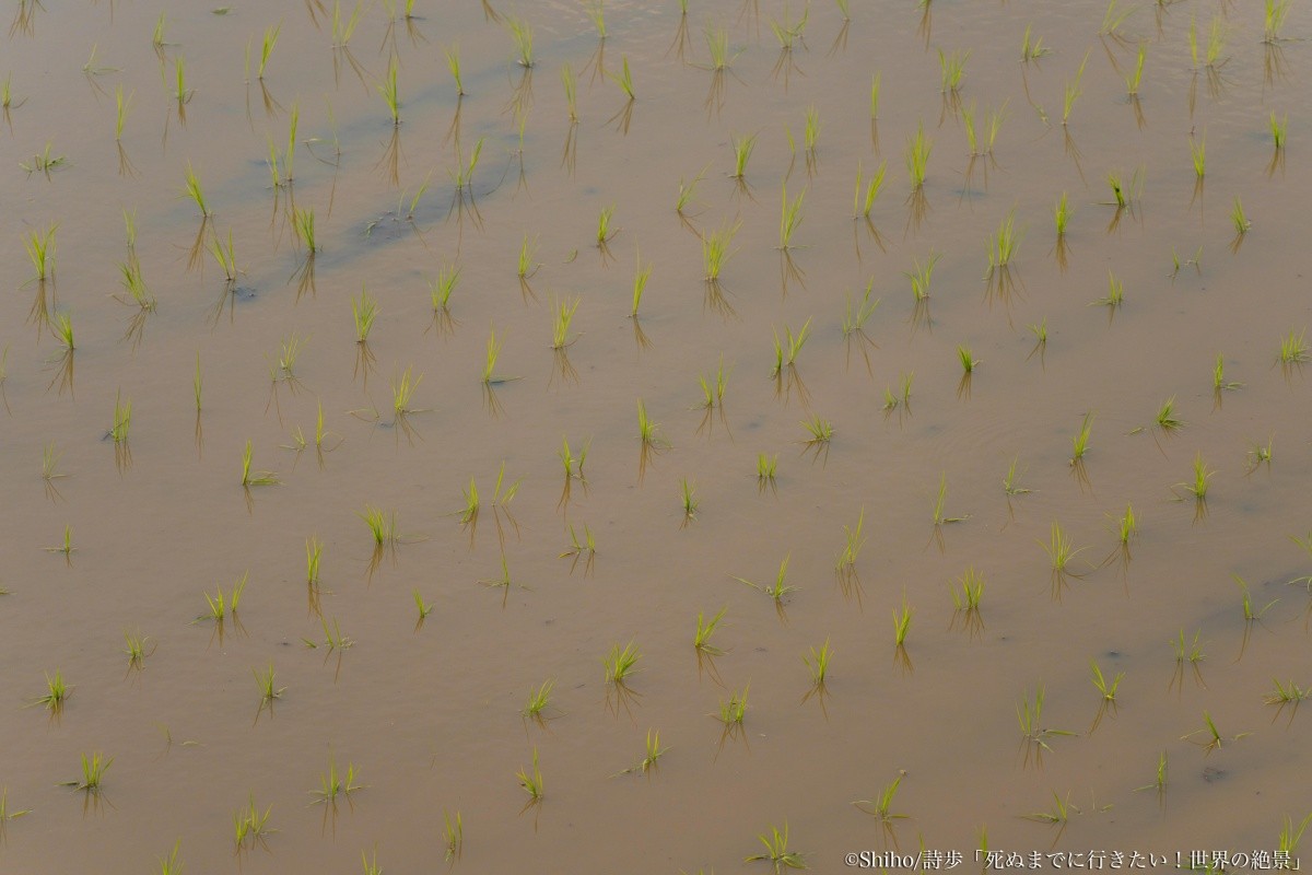 土谷梯田的壯闊景色