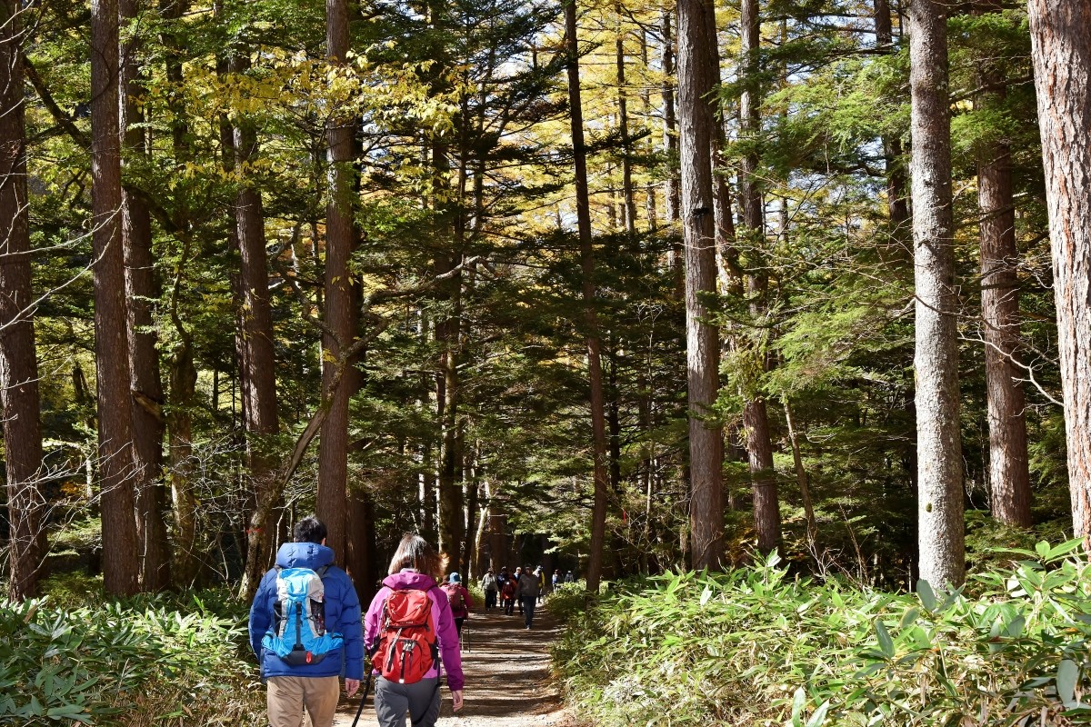 Kamikochi Walking Trail