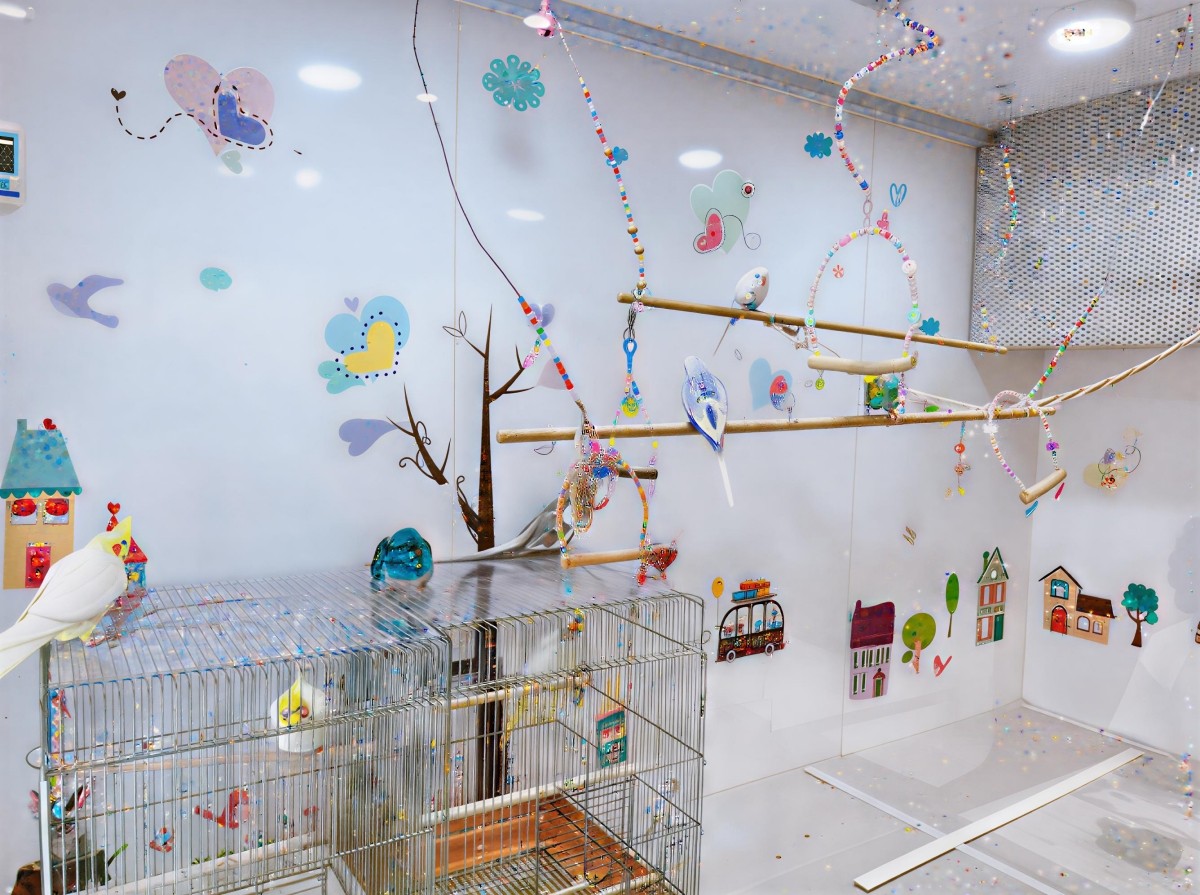 Bird Café Kotori Café