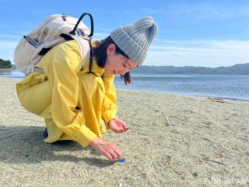 玻璃沙灘玻璃碎片