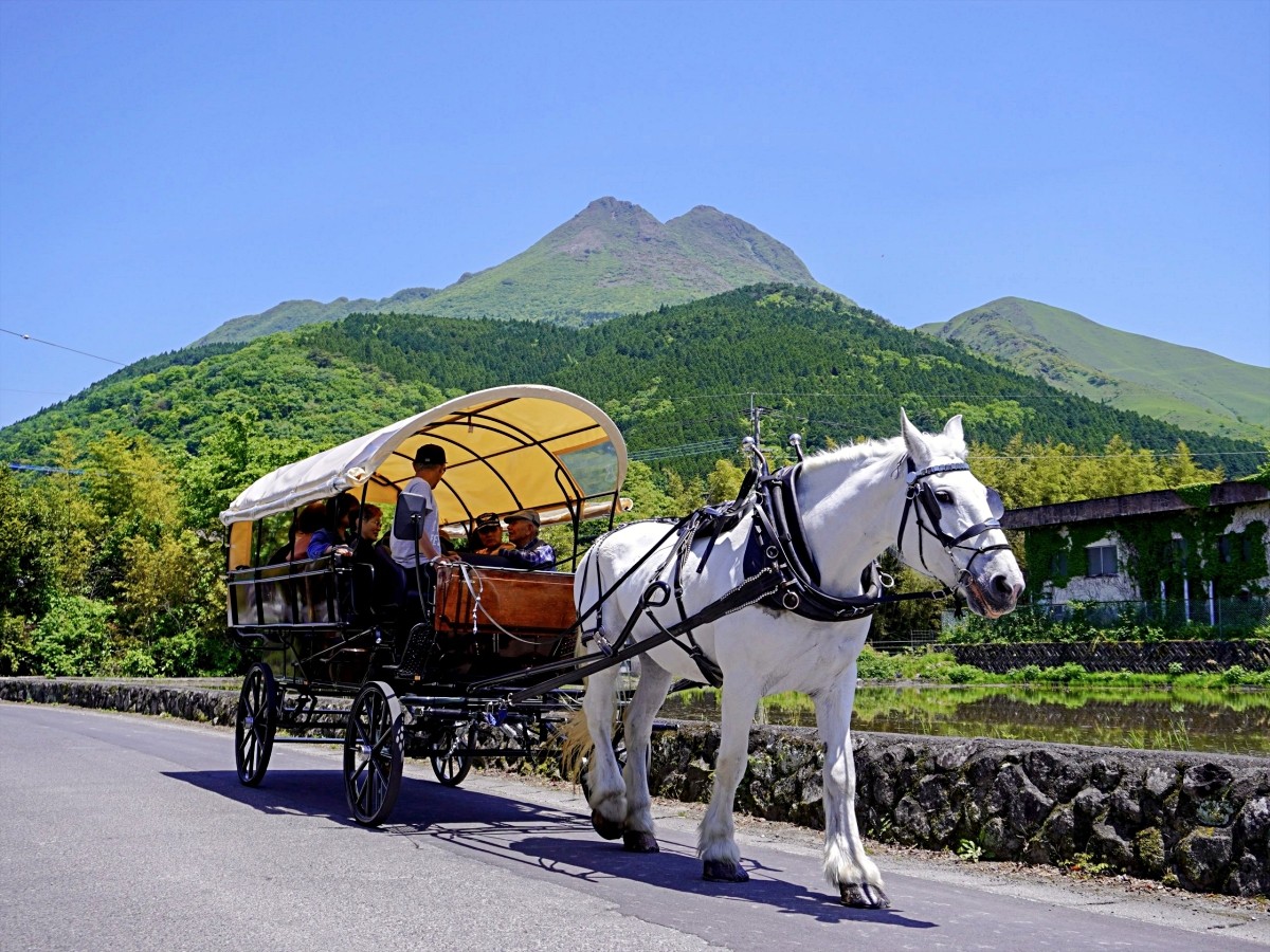 觀光馬車