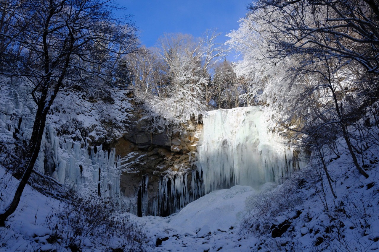 札幌市 瀧野鈴蘭丘陵公園