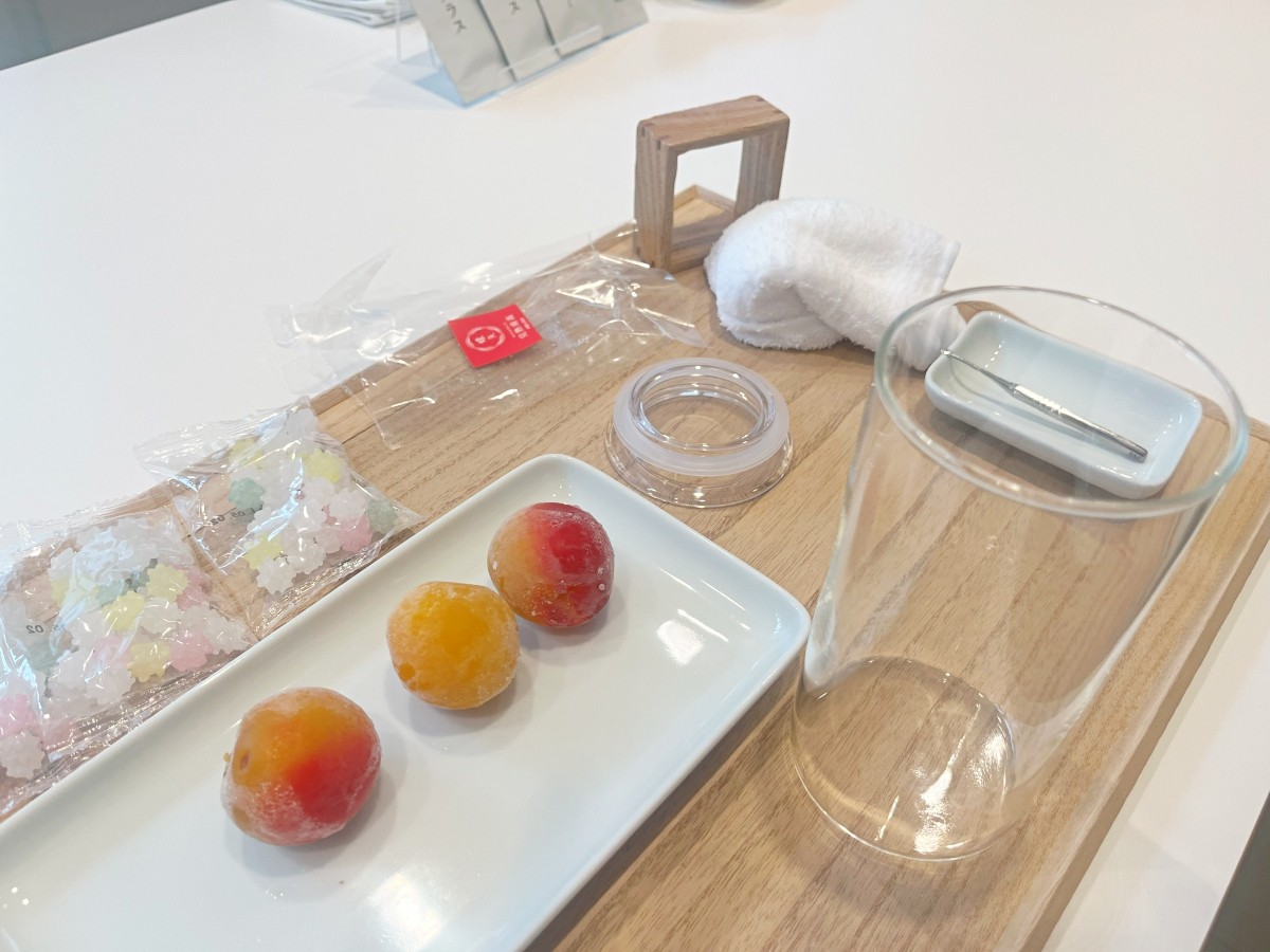 Pembuatan Umeshu