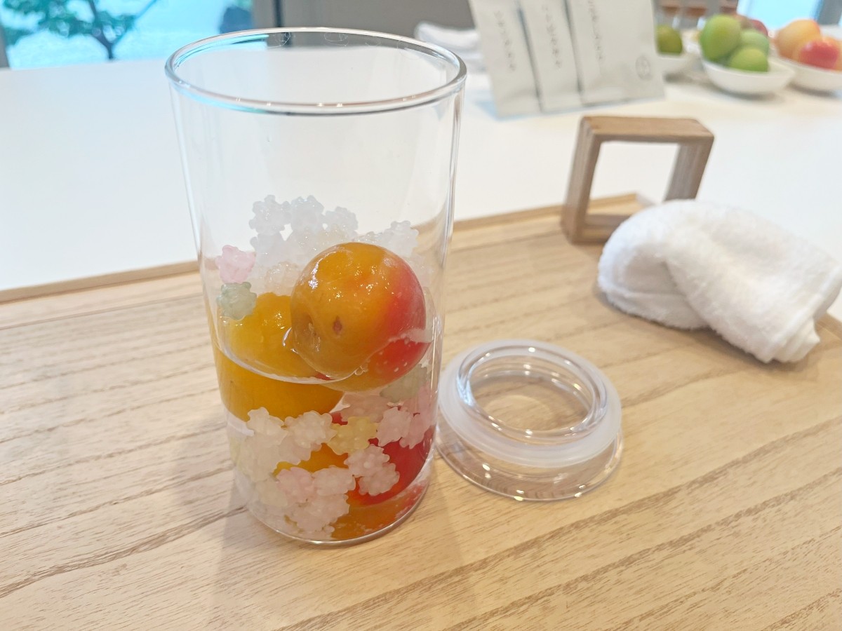 Pembuatan Umeshu