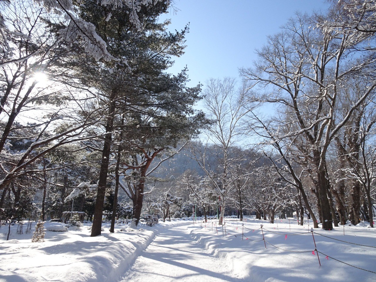 冬 札幌市 圓山公園