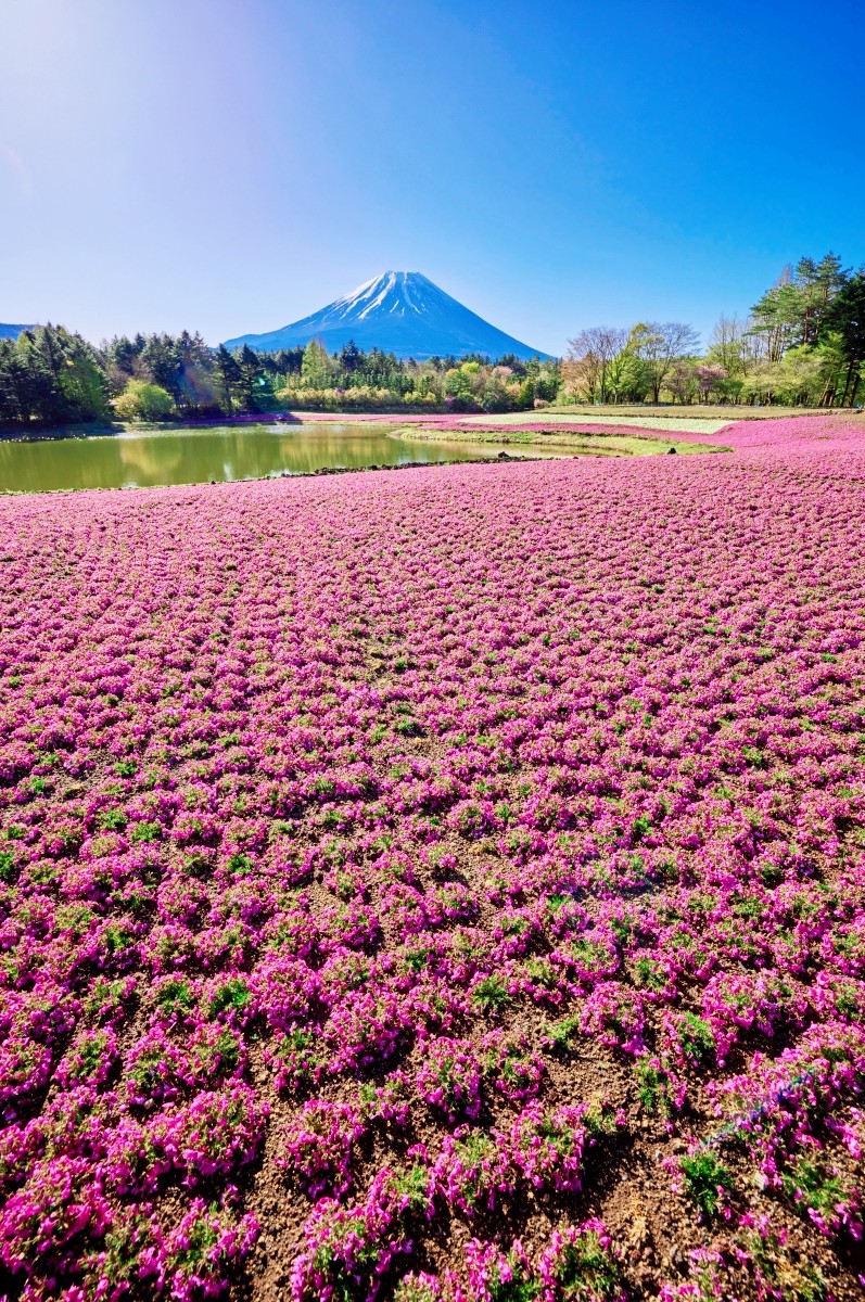 Ryujin Pond
