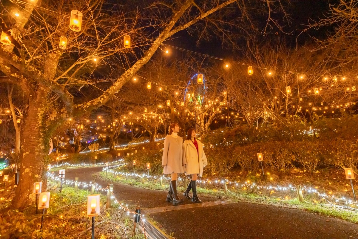 Forest of Light Sagamiko Illumillion