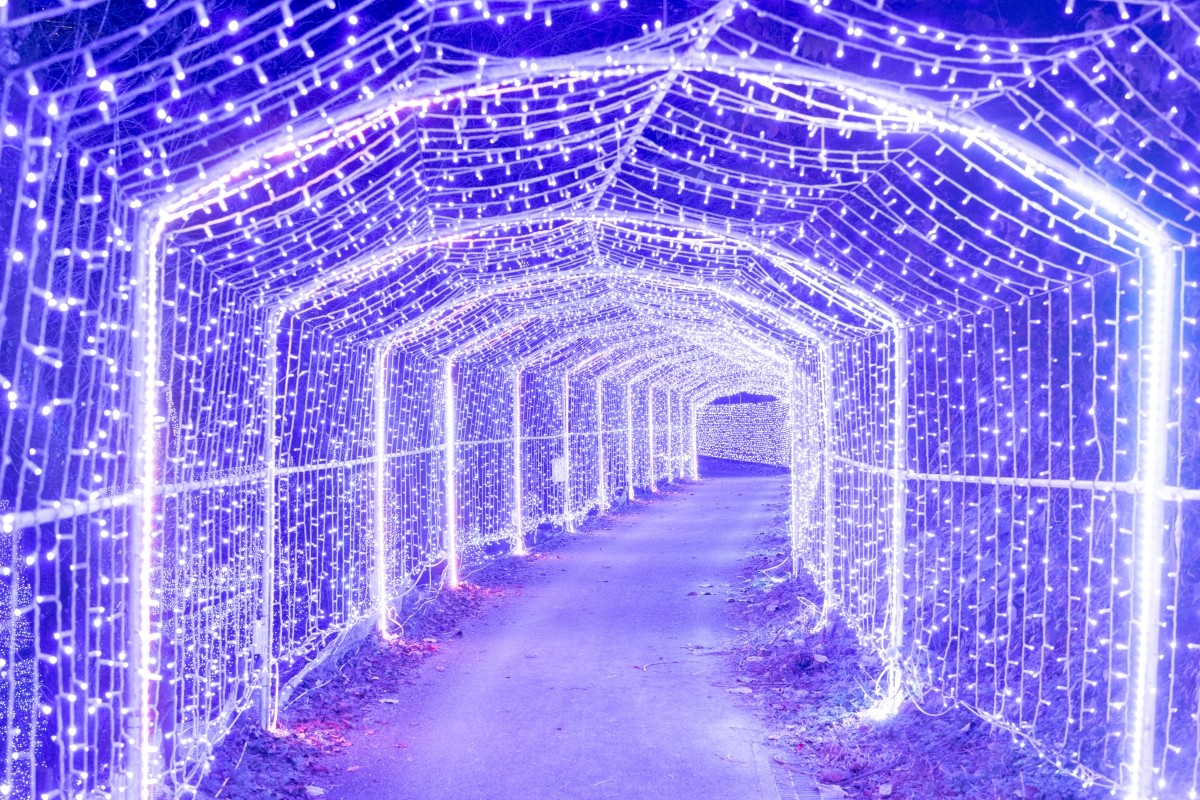 Tunnel of Light Sagamiko Illumillion