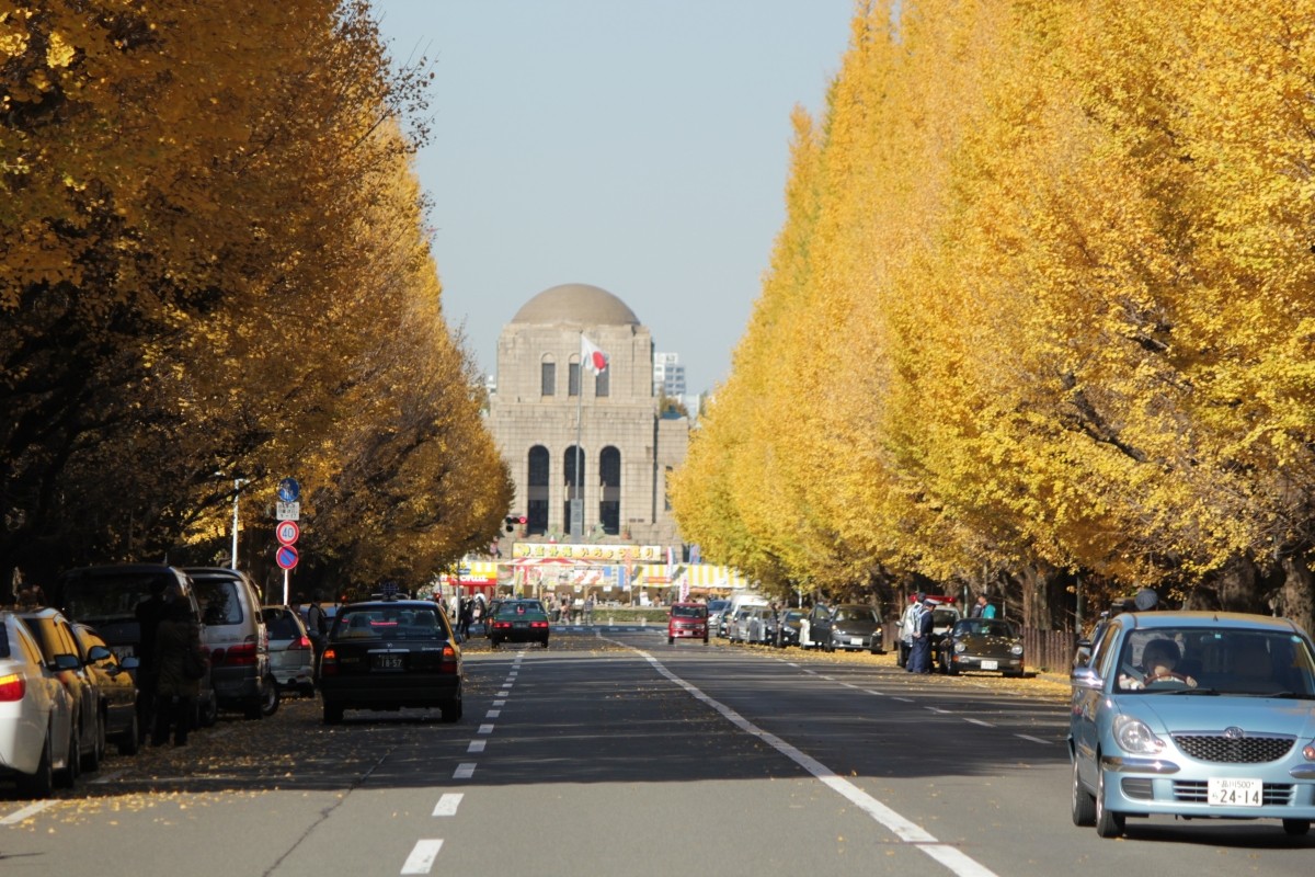 東京 紅葉 イベント